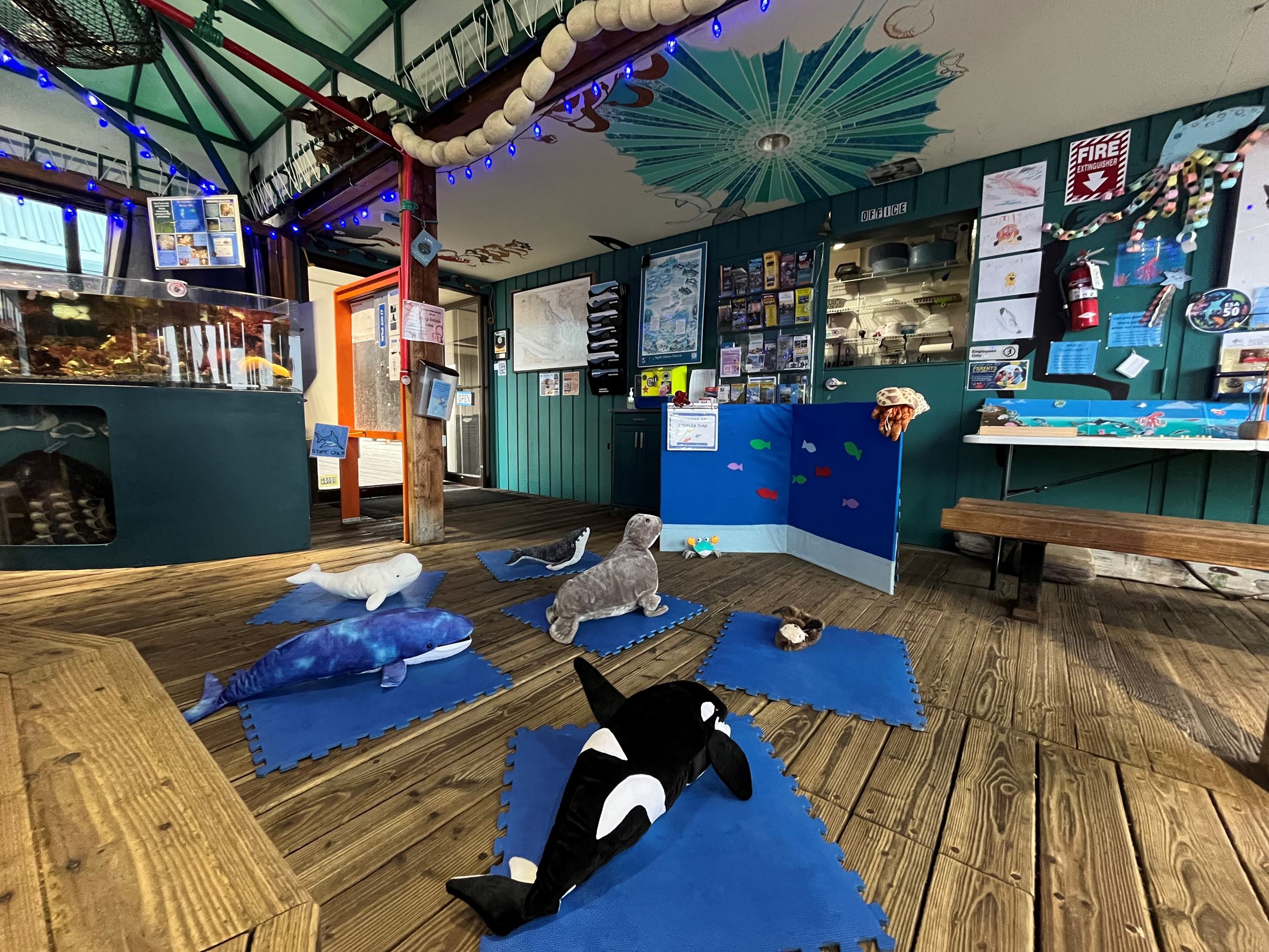 Marine Life Center Toddler Time