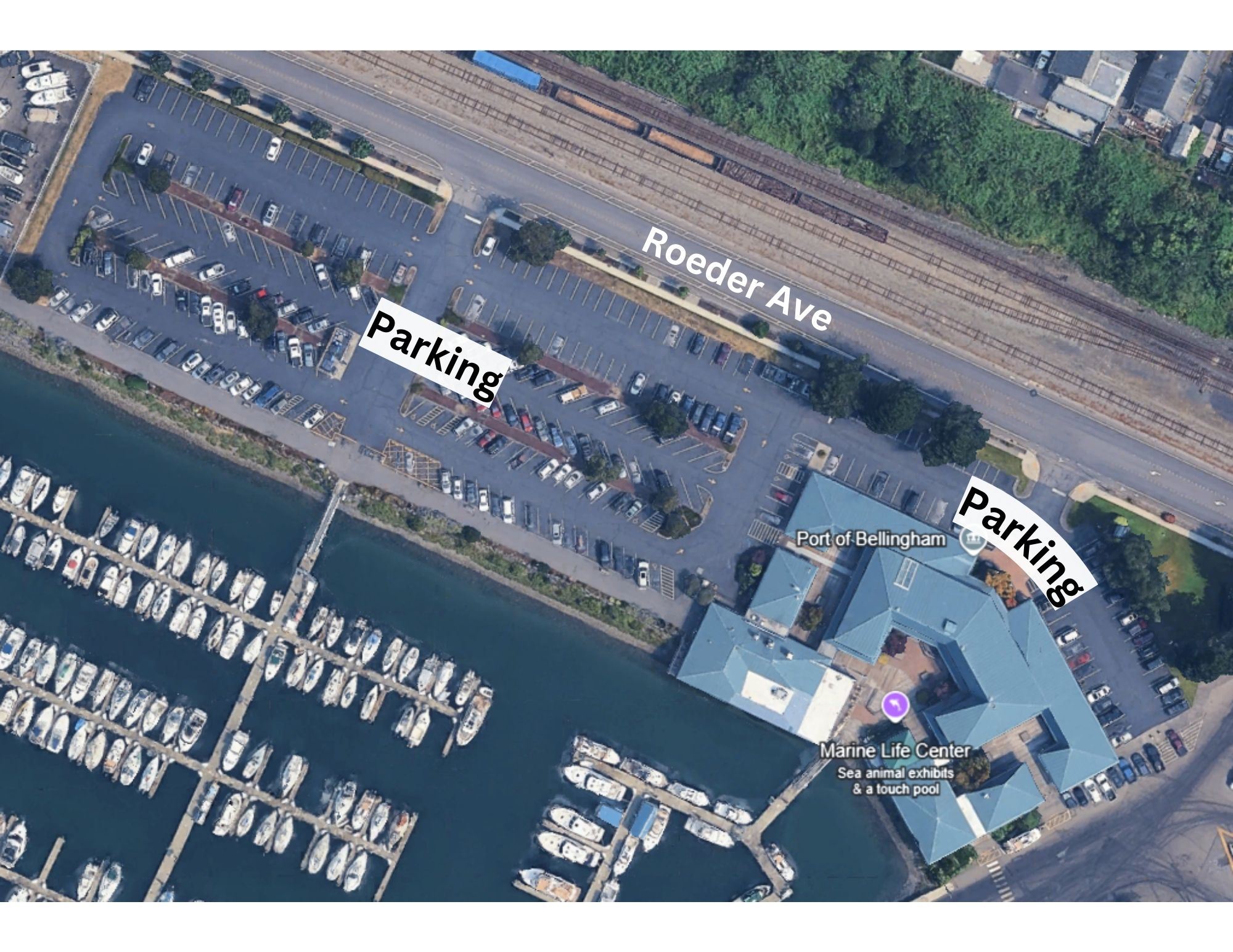 Parking Areas Around the Marine Life Center Facility
